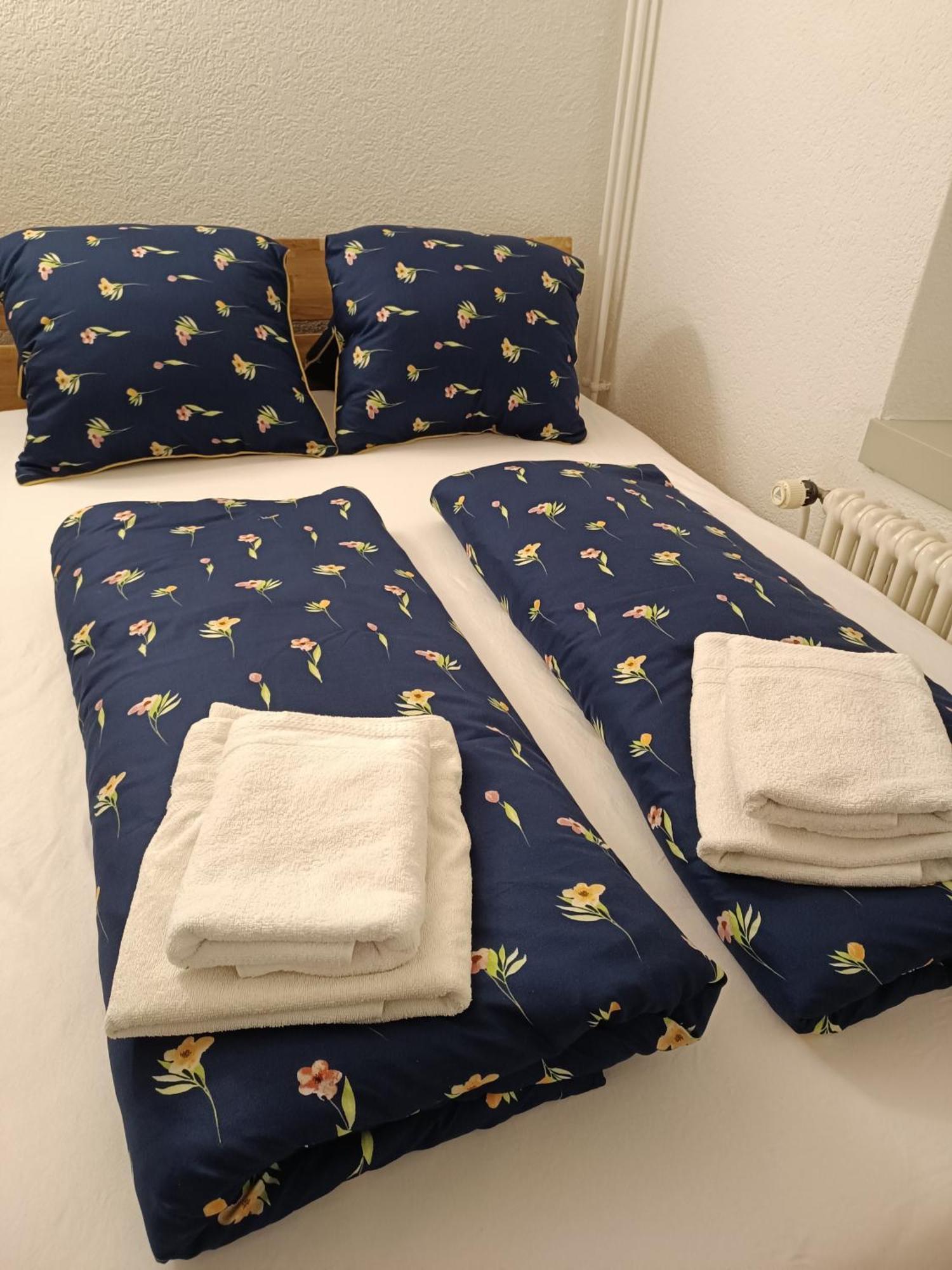 Apartment Jolie Интерлакен Экстерьер фото